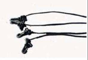 ARB 4x4 Accessories - ARB 4x4 Accessories 815120 Rooftop Tent Canvas Bungee Cord Set