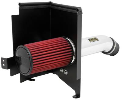 AEM - AEM Brute Force Intake System - B.F.S.TUNDRA 07-10 5.7L V8