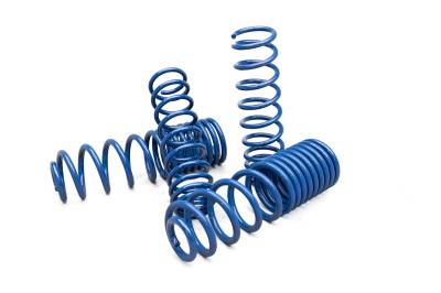 AEV - AEV Coil Spring, JT 4-dr Rear +3.0" Lift, High Capacity