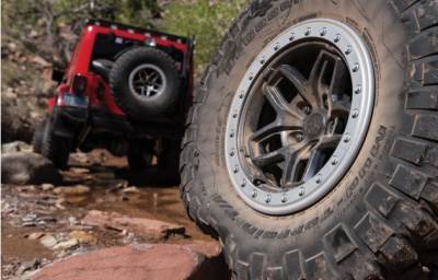 AEV - AEV  Beadlock Ring - Silver - 17" Crestone Wheels - Image 3