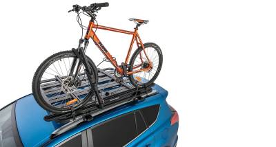 Rhino-Rack USA - Rhino-Rack USA 42114BF Pioneer Platform Roof Rack Tray - Image 3