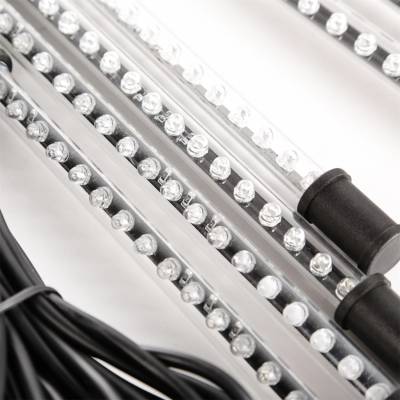 Rugged Ridge - Rugged Ridge 11250.09 Interior Courtesy Lights Kit - Image 3