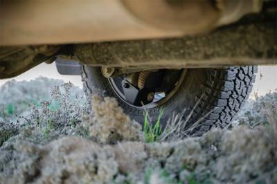 DV8 Offroad - DV8 Offroad SPTF3-01 Shock Skid Plates - Image 11