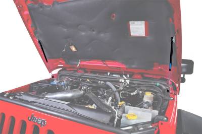 Rugged Ridge - Rugged Ridge 11252.51 Lift Support Kit - Image 3