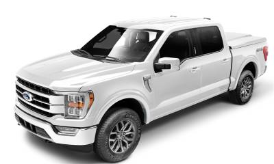 Bushwacker - Bushwacker 20948-12 OE Style Color Match Fender Flares - Image 1