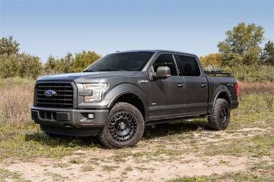 Amp Research - AMP PowerStep Xtreme -  Ford F-150 Standard Cab Pickup - Image 5