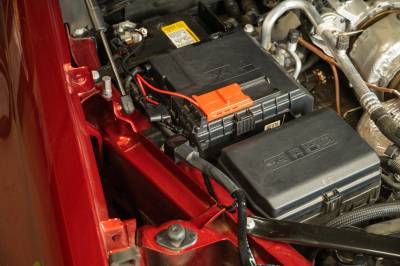 DV8 Offroad - DV8 Offroad 40 Amp Wire Harness with DT Connector & Switch - Image 5