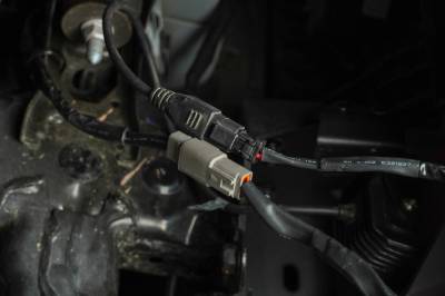 DV8 Offroad - DV8 Offroad 4-Way 1-DTP to 4-DTP Plug Harness - Image 4